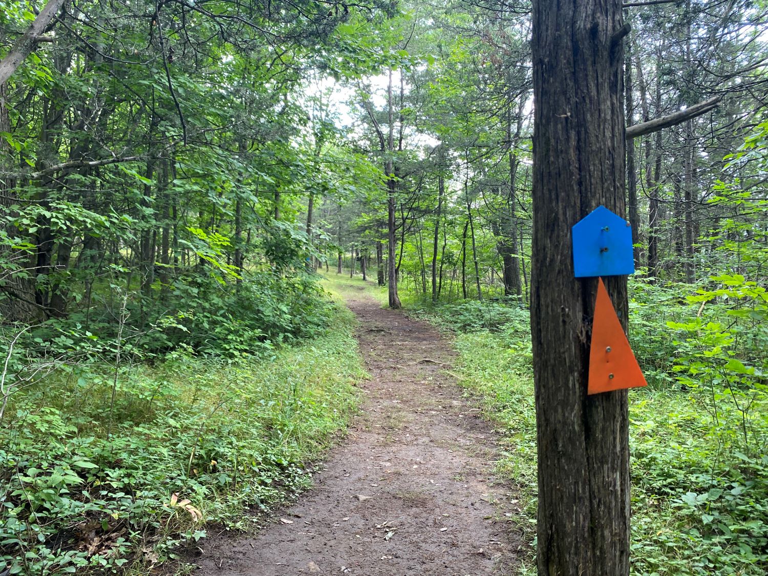 Rideau Trail