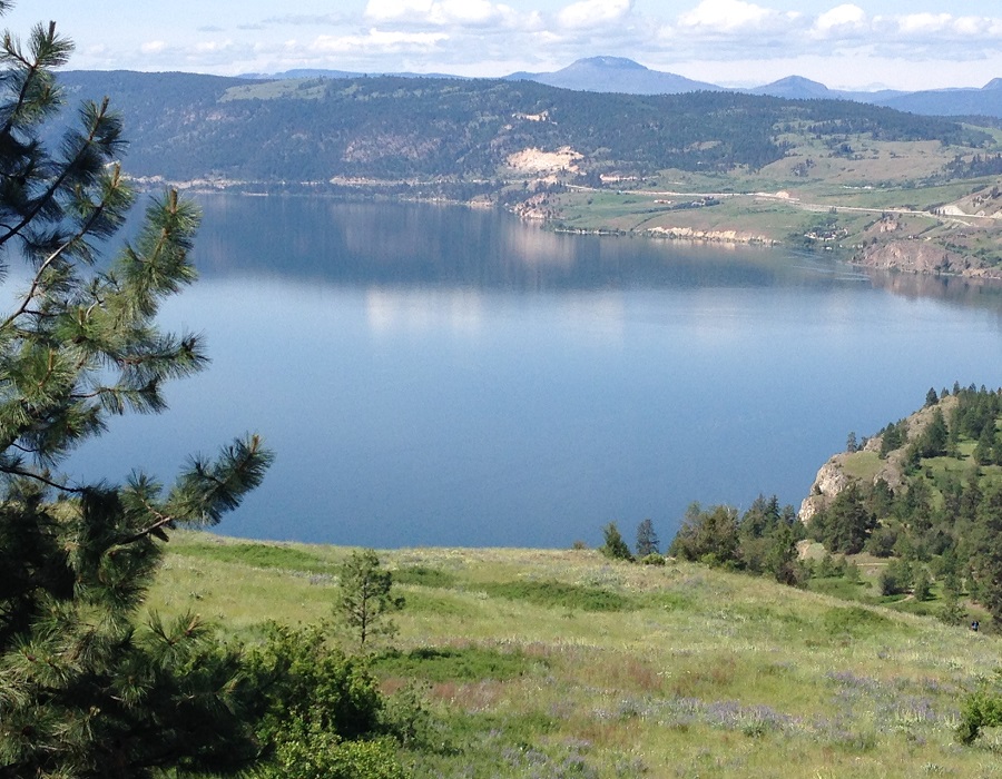 Quest to Find a Western Rattlesnake