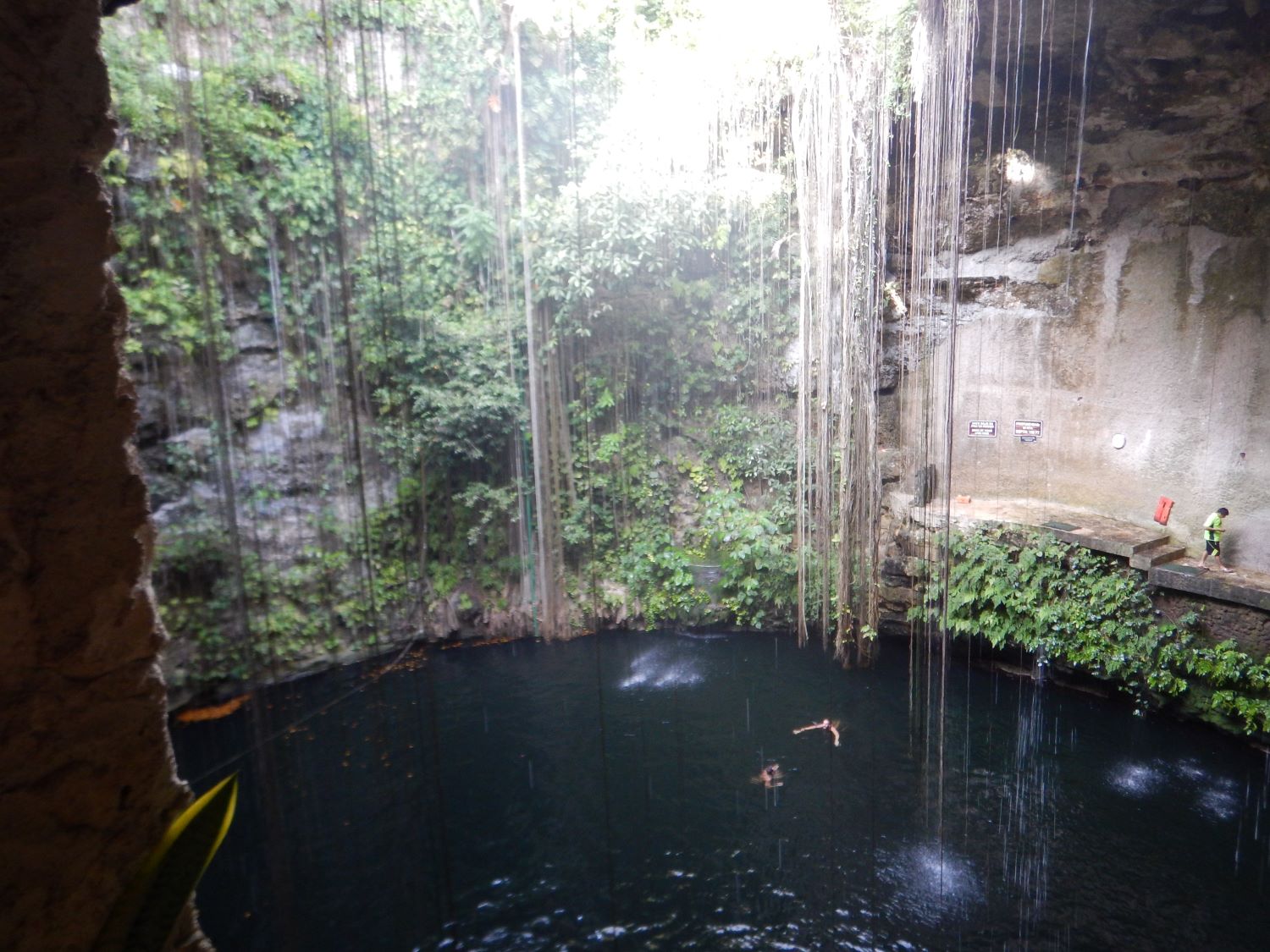 Swimming in the Ik Kil Cenote, Mexico